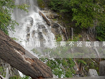 信用卡逾期不还款后果会怎样 信用卡逾期不还款后果会怎样