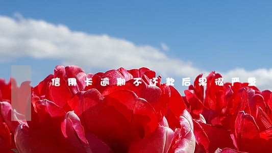 信用卡逾期不还款后果很严重 信用卡逾期不还款后果很严重