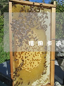 信用卡逾期不还款起诉吗