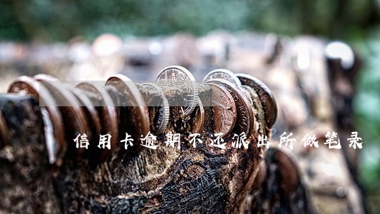 信用卡逾期不还派出所做笔录 信用卡逾期不还派出所做笔录
