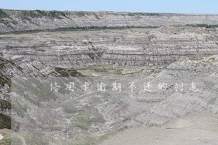 信用卡逾期不还的利息 信用卡逾期不还的利息