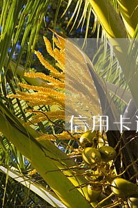 信用卡逾期不还的利息是多少 信用卡逾期不还的利息是多少