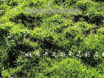 信用卡逾期不还的后果是啥 信用卡逾期不还的后果是啥