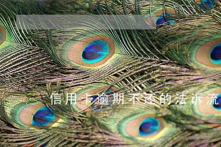 信用卡逾期不还的法诉流程