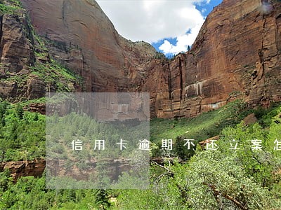 信用卡逾期不还立案怎么判刑 信用卡逾期不还立案怎么判刑
