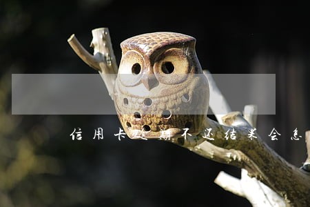 信用卡逾期不还结果会怎样 信用卡逾期不还结果会怎样