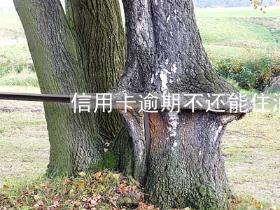 信用卡逾期不还能住酒店吗 信用卡逾期不还能住酒店吗