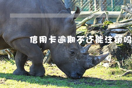 信用卡逾期不还能注销吗 信用卡逾期不还能注销吗