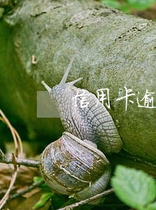 信用卡逾期不还能消除吗