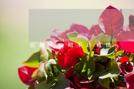 信用卡逾期不还被锁 信用卡逾期不还被锁