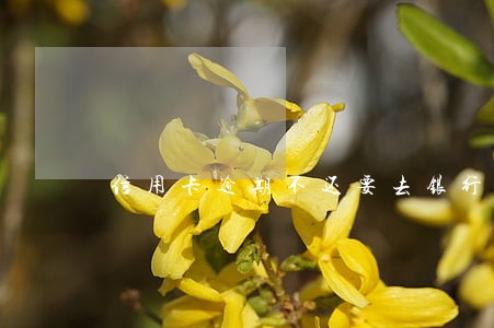 信用卡逾期不还要去银行报案 信用卡逾期不还要去银行报案