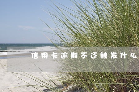 信用卡逾期不还触发什么法律 信用卡逾期不还触发什么法律