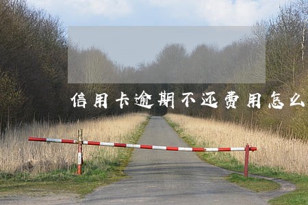 信用卡逾期不还费用怎么计算 信用卡逾期不还费用怎么计算