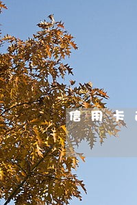 信用卡逾期不还还能刷卡吗 信用卡逾期不还还能刷卡吗