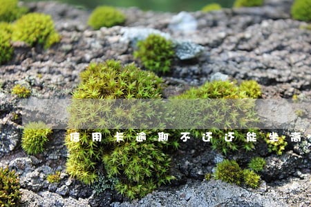 信用卡逾期不还还能坐高铁吗 信用卡逾期不还还能坐高铁吗