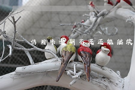 信用卡逾期不还还能继续刷 信用卡逾期不还还能继续刷