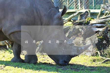 信用卡逾期不还量刑标准 信用卡逾期不还量刑标准