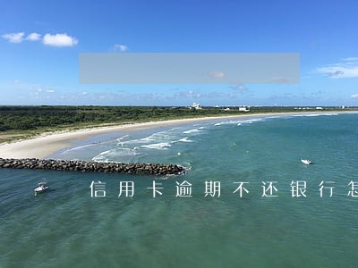 信用卡逾期不还银行怎么追债 信用卡逾期不还银行怎么追债