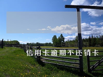 信用卡逾期不还销卡 信用卡逾期不还销卡
