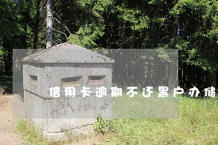 信用卡逾期不还黑户办储蓄卡 信用卡逾期不还黑户办储蓄卡
