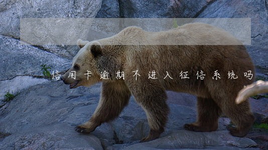 信用卡逾期不进入征信系统吗 信用卡逾期不进入征信系统吗