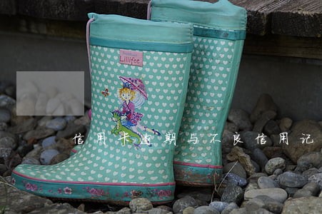 信用卡逾期与不良信用记录 信用卡逾期与不良信用记录