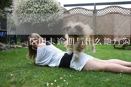 信用卡逾期与什么地方沟通