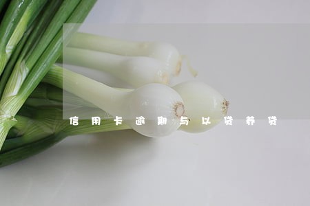 信用卡逾期与以贷养贷 信用卡逾期与以贷养贷