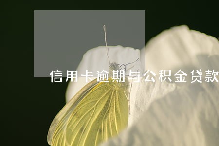 信用卡逾期与公积金贷款 信用卡逾期与公积金贷款