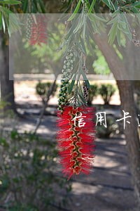 信用卡逾期与客服协商无果 信用卡逾期与客服协商无果