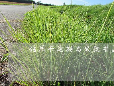信用卡逾期与欠款有区别吗 信用卡逾期与欠款有区别吗