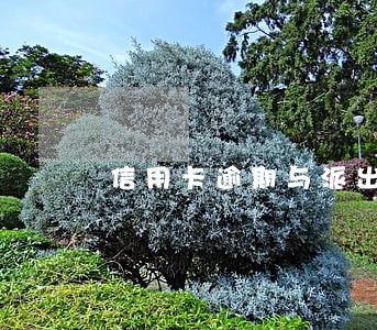 信用卡逾期与派出所有关吗 信用卡逾期与派出所有关吗