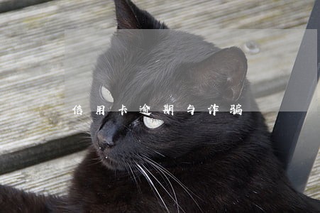 信用卡逾期与诈骗 信用卡逾期与诈骗