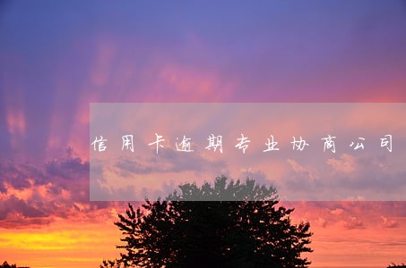 信用卡逾期专业协商公司北京 信用卡逾期专业协商公司北京