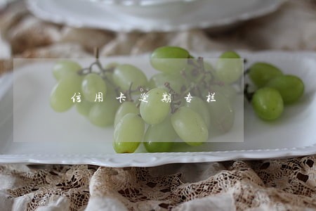 信用卡逾期专栏 信用卡逾期专栏