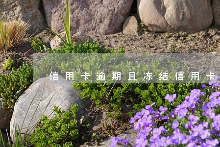 信用卡逾期且冻结信用卡 信用卡逾期且冻结信用卡