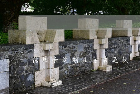 信用卡逾期且无法还款 信用卡逾期且无法还款