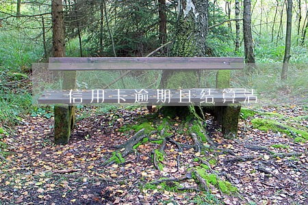 信用卡逾期且结算清 信用卡逾期且结算清