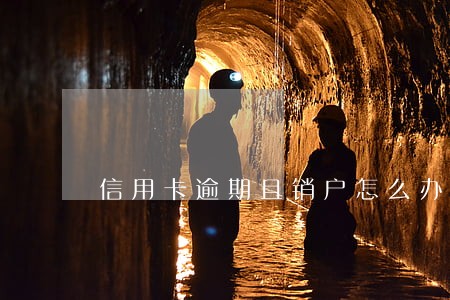 信用卡逾期且销户怎么办 信用卡逾期且销户怎么办