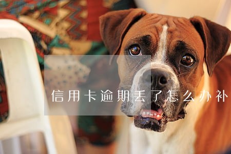 信用卡逾期丢了怎么办补办 信用卡逾期丢了怎么办补办