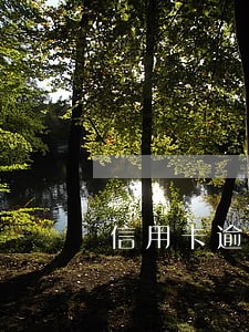 信用卡逾期丢失怎么补办 信用卡逾期丢失怎么补办