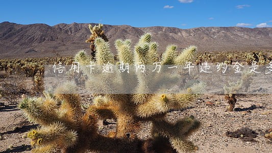 信用卡逾期两万一年违约金是多少 信用卡逾期两万一年违约金是多少