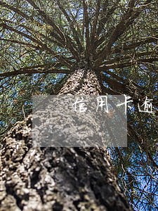 信用卡逾期两万以下 信用卡逾期两万以下