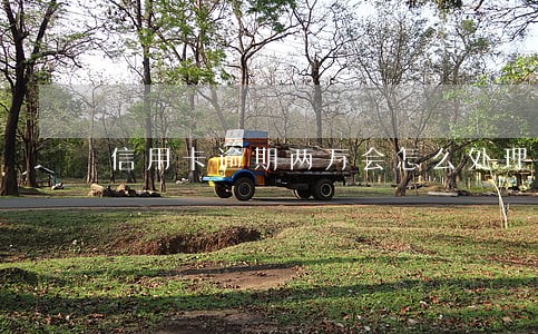 信用卡逾期两万会怎么处理 信用卡逾期两万会怎么处理