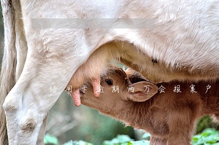 信用卡逾期两万会报案户籍地吗 信用卡逾期两万会报案户籍地吗