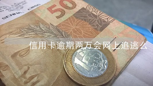 信用卡逾期两万会网上追逃么 信用卡逾期两万会网上追逃么