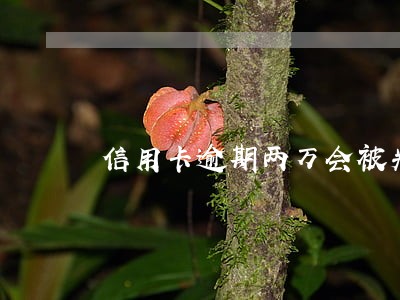 信用卡逾期两万会被判刑吗 信用卡逾期两万会被判刑吗