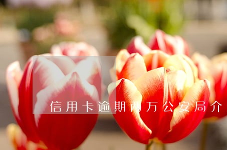 信用卡逾期两万公安局介入 信用卡逾期两万公安局介入