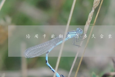 信用卡逾期两万多久会坐牢 信用卡逾期两万多久会坐牢