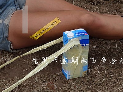 信用卡逾期两万多会被起诉吗 信用卡逾期两万多会被起诉吗